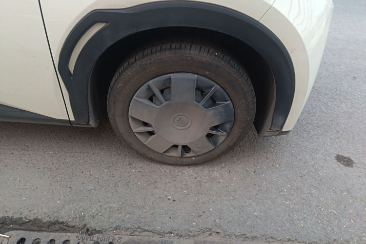 比亚迪 海鸥 2025款 智驾版 305km 活力版车身外观10