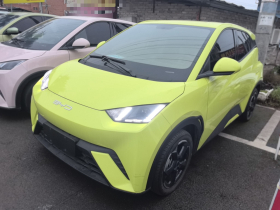 比亚迪 海鸥 2023款 自由版