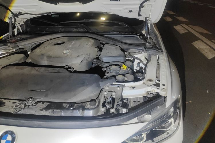 宝马3系 2018款 320Li 时尚型局部细节9007