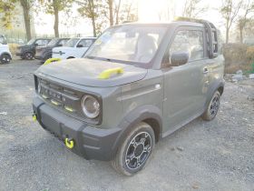 吉利银河 2025款 210km 熊猫骑士