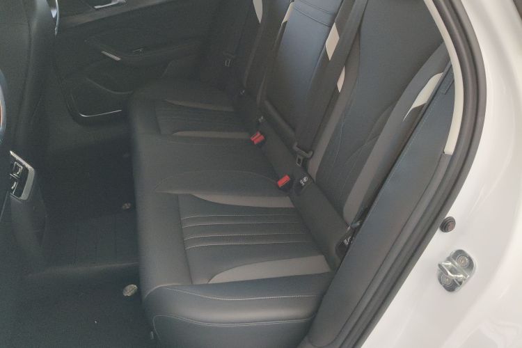 红旗H6 2024款 2.0T 致美版中控内饰7004