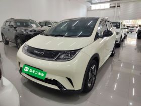 比亚迪 海豚 2021款 405km 时尚版