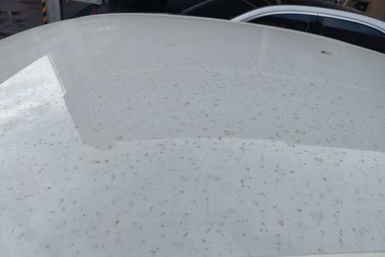 大众 朗逸 2023款 新锐 1.5L 自动新逸版局部细节57