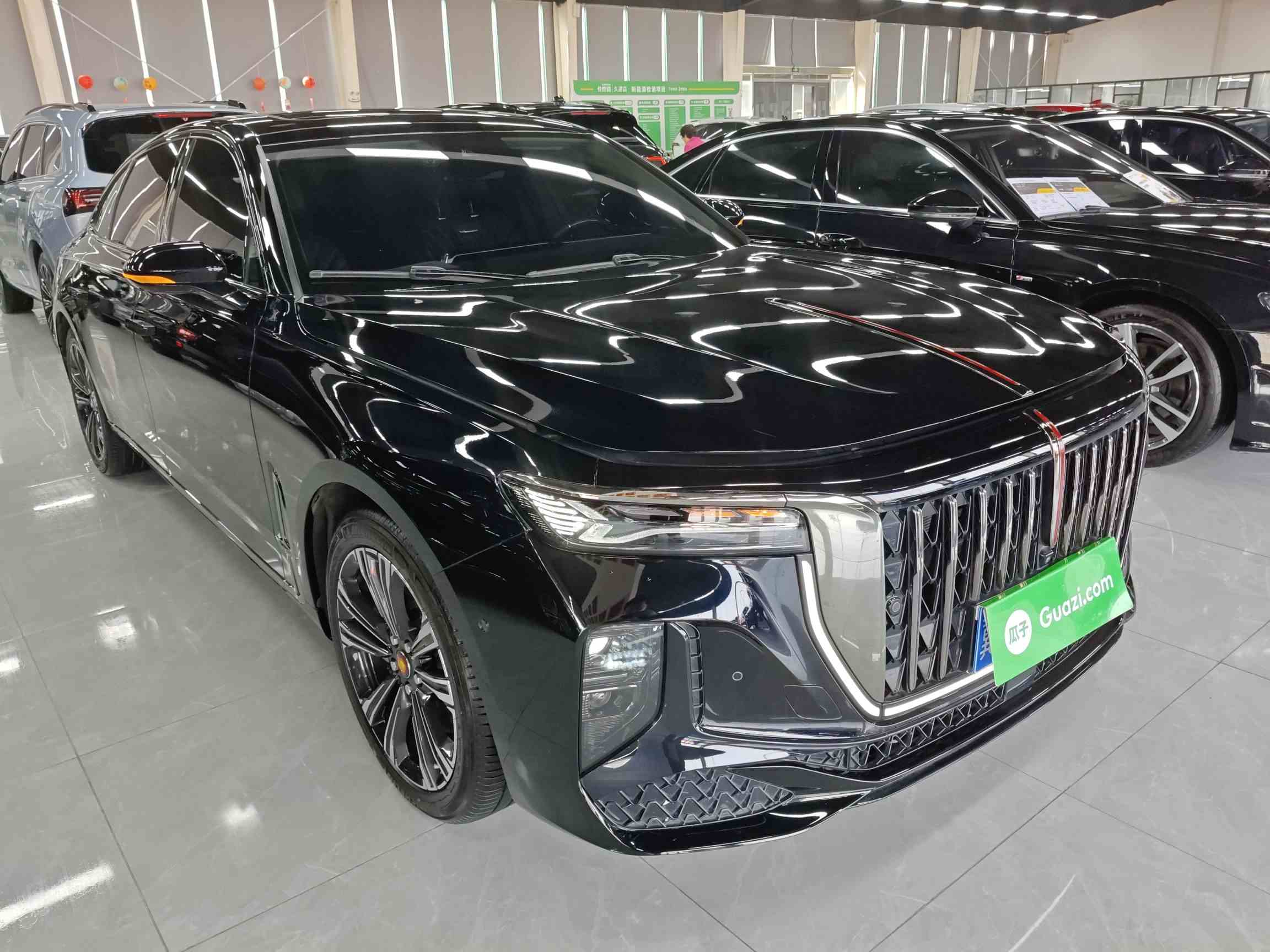 红旗H9 2024款 2.0T 旗畅 私享风尚版(5)