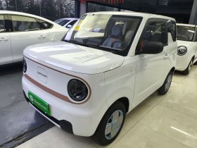 吉利银河 2024款 熊猫mini 200km 耐力熊