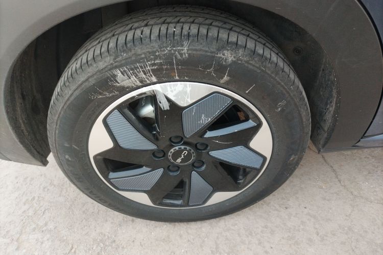 比亚迪 海豚 2024款 荣耀版 420km 自由版车身外观6008