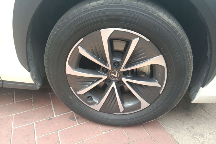 雷克萨斯RZ 2023款 450e 四驱纵享版车身外观10