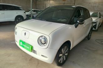 欧拉黑猫 2019款 351km 亲子版