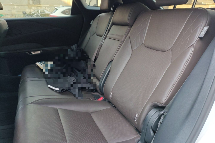 雷克萨斯RX 2023款 350h 四驱醇享版中控内饰21