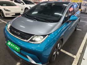 比亚迪 海豚 2021款 401km 骑士版