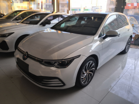 大众 高尔夫 2023款 200TSI DSG Pro