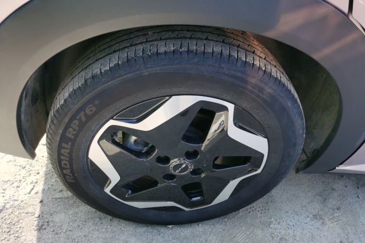 比亚迪 海豚 2021款 405km 自由版车身外观6002