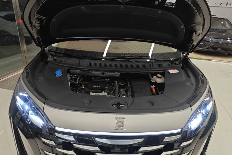 比亚迪 夏 2025款 DM-i 1.5T 180km 超越型局部细节24