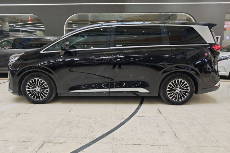 腾势D9 2024款 DM-i 980 四驱尊荣型车身外观6003