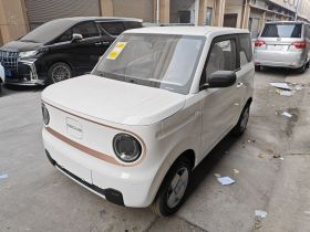 吉利银河 2024款 熊猫mini 200km 耐力熊