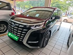 腾势D9 2024款 DM-i 980 四驱尊荣型