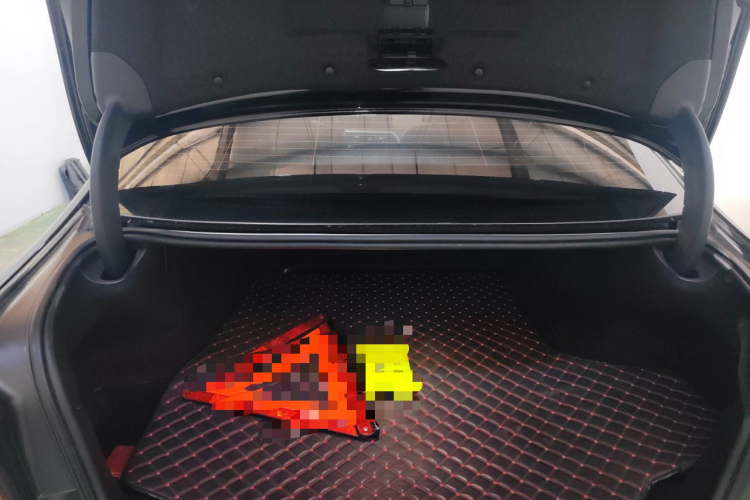 宝马5系新能源 2019款 改款 530Le 先锋版局部细节23