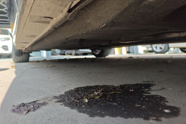 奥迪A6L 2017款 TFSI 技术型局部细节9001