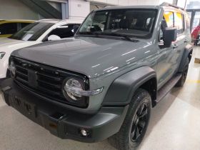 坦克300 2021款 越野版 2.0T 征服者