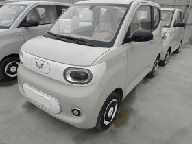 五菱汽车 宏光MINIEV 2024款 第三代 215km 青春版