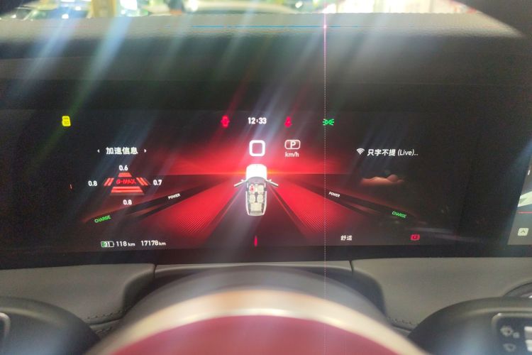 红旗E-HS9 2021款 460km 旗享版 六座中控内饰14