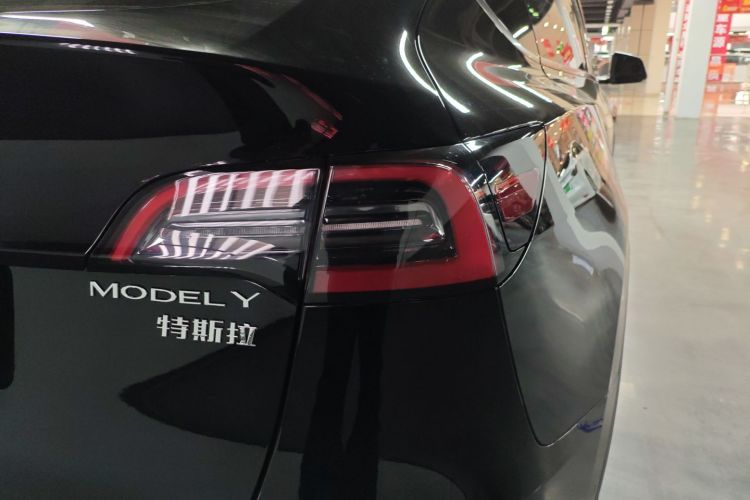 特斯拉 Model Y 2021款 标准续航后驱版车身外观6006