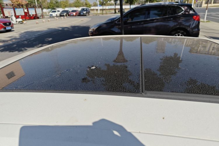 奥迪A4L 2019款 40 TFSI 时尚型 国V局部细节57