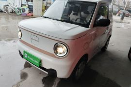 吉利银河 2024款 熊猫mini 200km 耐力熊