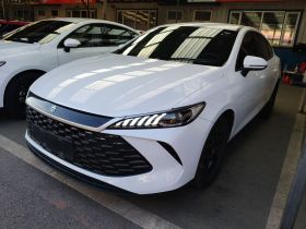 比亚迪 秦PLUS 2025款 DM-i 智驾版 55KM领先型