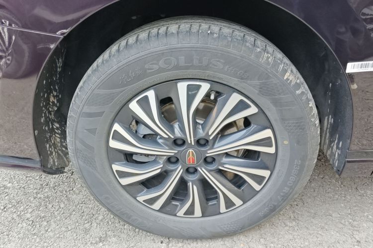 红旗HQ9 PHEV 2024款 2.0T 四驱商务版车身外观6008