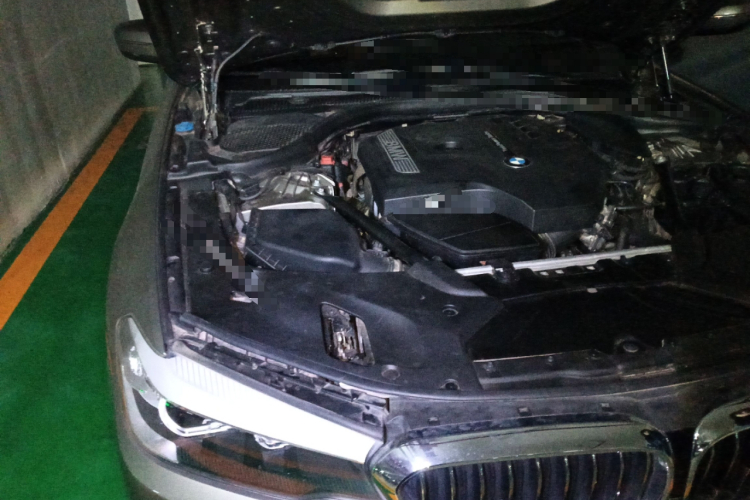 宝马5系 2018款 528Li 上市特别版局部细节9006