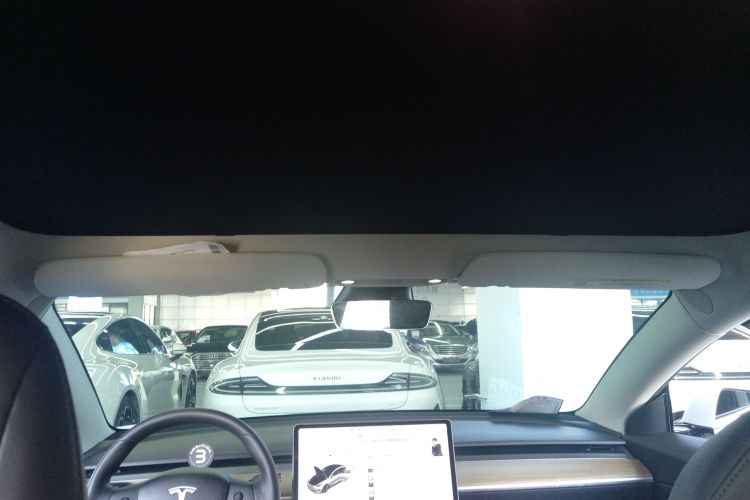 特斯拉 Model 3(进口) 2019款 长续航全轮驱动版局部细节22