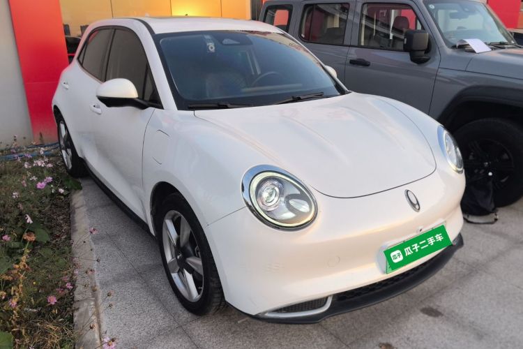 欧拉好猫 2021款 400km标准续航 维纳斯版 三元锂车身外观3