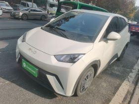 比亚迪 海鸥 2025款 305km 活力版