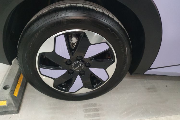 比亚迪 海豚 2024款 荣耀版 420km 时尚版车身外观6008