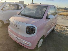 奔腾小马 2026款 222km 萌趣马 Plus