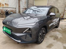 五菱汽车 五菱星光S 2024款 130km 旗舰型