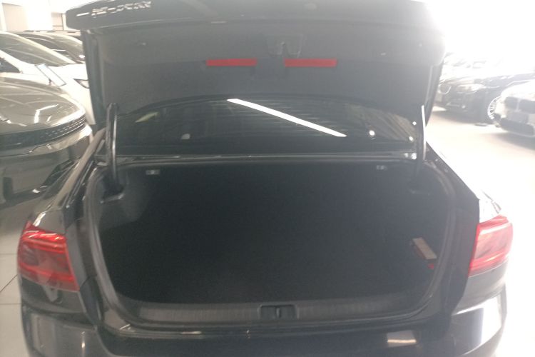 大众 迈腾 2020款 330TSI DSG 豪华型局部细节23