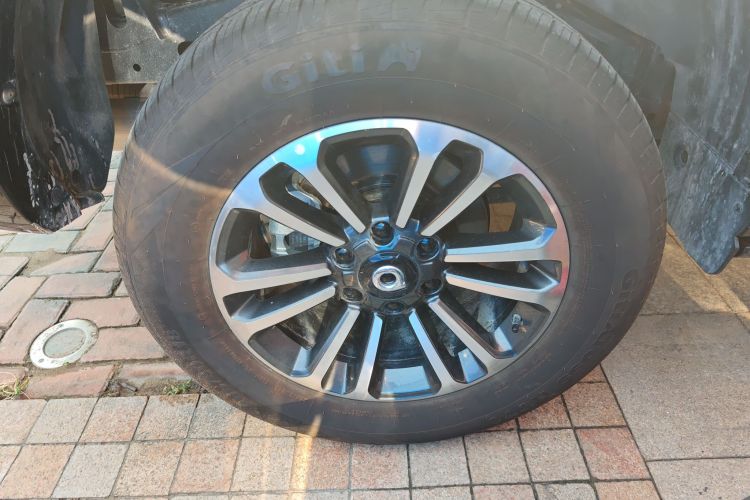 长城 山海炮 2023款 2.4T 柴油极享版车身外观6008