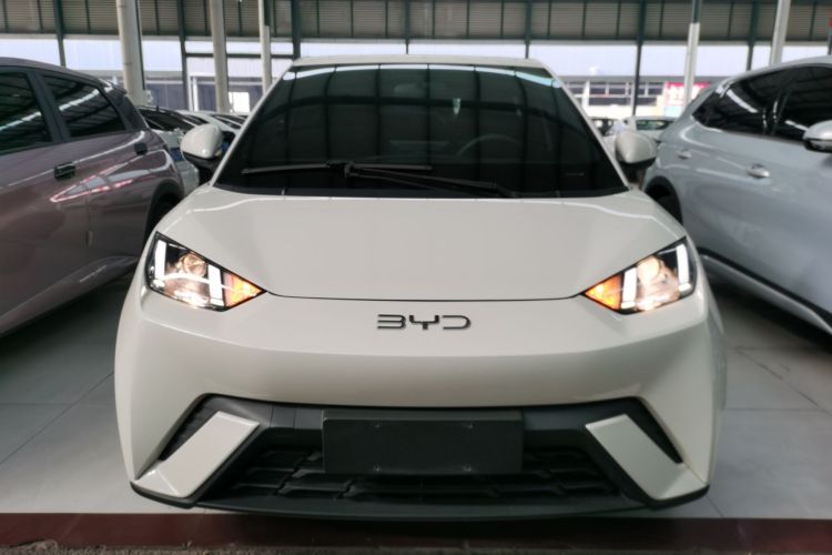 比亚迪 海鸥 2024款 荣耀版 305km 活力版车身外观2