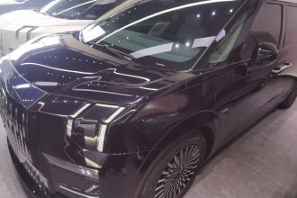 极氪009 2022款 WE版