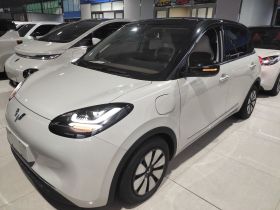 五菱汽车 五菱缤果 2023款 333km 灵犀互联款