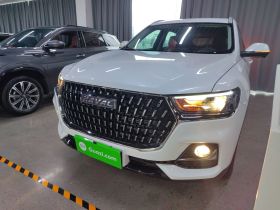 哈弗H6 2023款 国潮版 1.5T 自动都市版