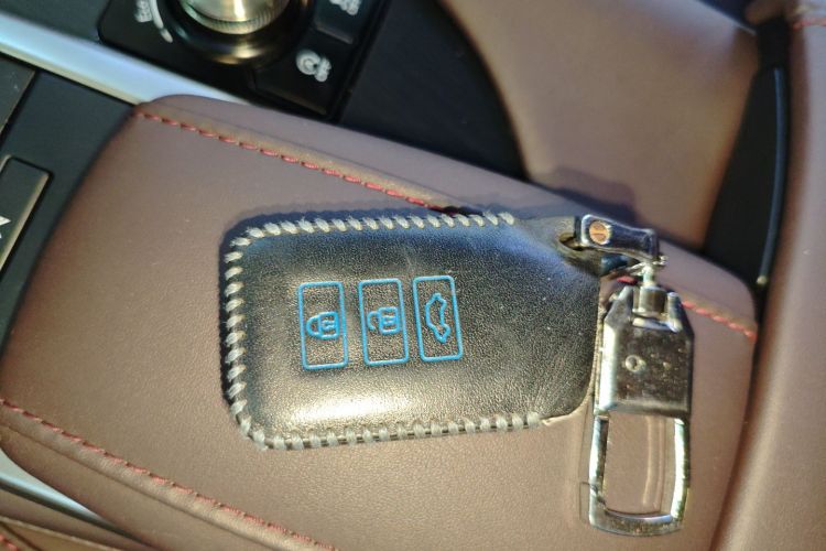 雷克萨斯RX 2020款 改款 300 四驱典雅版中控内饰7001