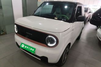 吉利银河 2023款 熊猫mini 200km 灵动熊