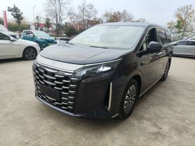 比亚迪 夏 2025款 DM-i 1.5T 100km 领先型