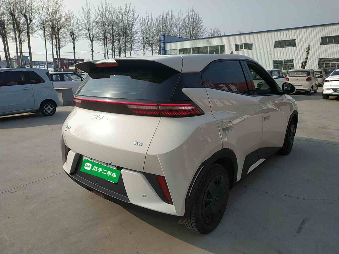 比亚迪 海鸥 2025款 智驾版 305km 活力版(5)