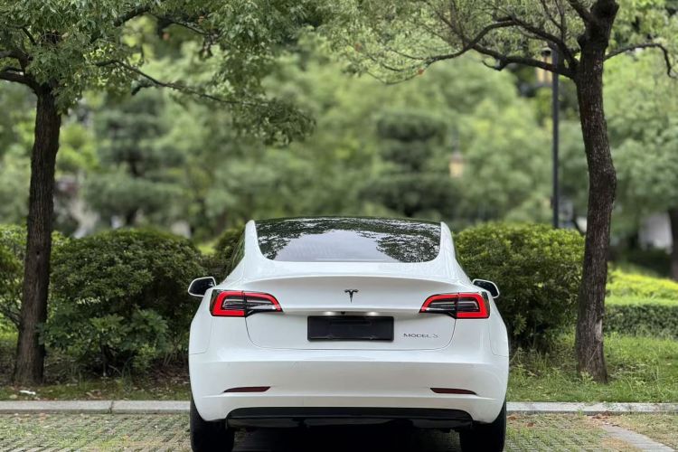 特斯拉 Model 3 2020款 改款 标准续航后驱升级版车身外观6004