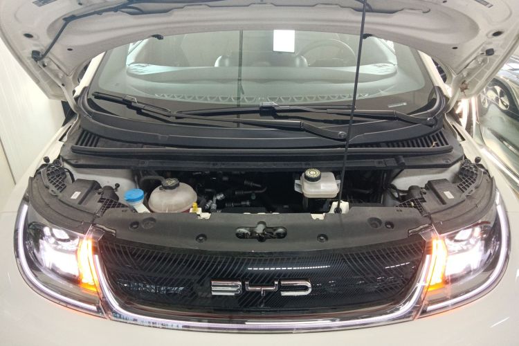 比亚迪 海豚 2023款 420km 自由版机舱底盘24