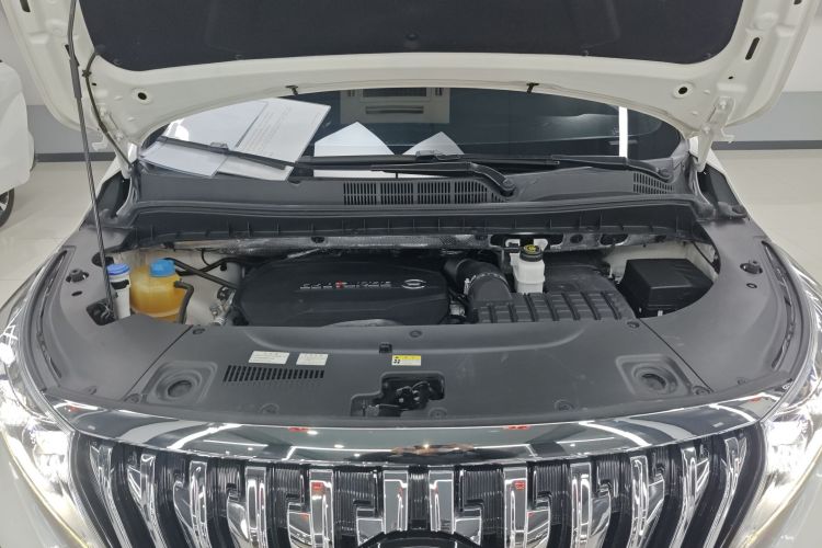 广汽传祺 传祺M8 2020款 领航款 390T 尊贵版机舱底盘24